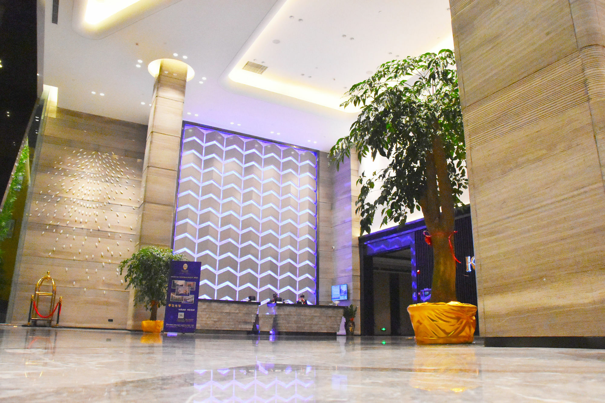 Shenzhen Kaileiston Hotel المظهر الخارجي الصورة